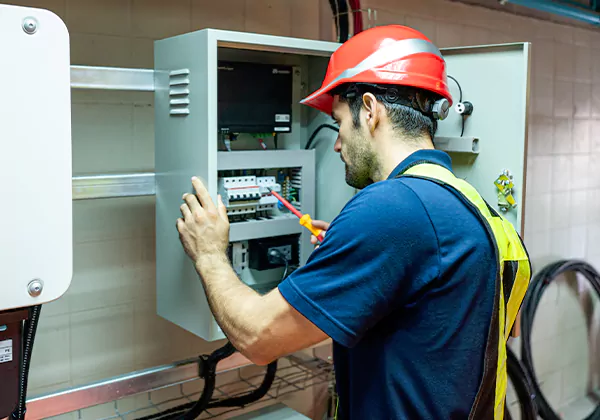Electrical Panel Upgrade Lakeland